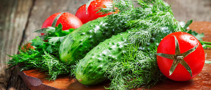 Sayenko Kharenko Initiates Anti-Dumping Investigation Against Turkish Cucumbers and Tomatoes Imports