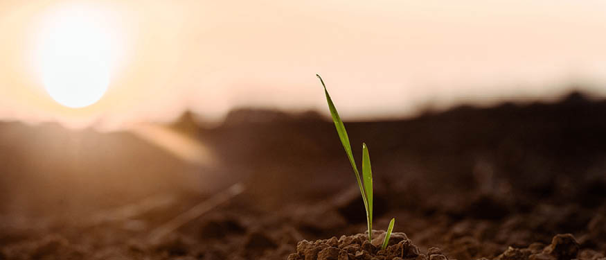 Kinstellar Advises East Grain on Acquisition of Maragro Group