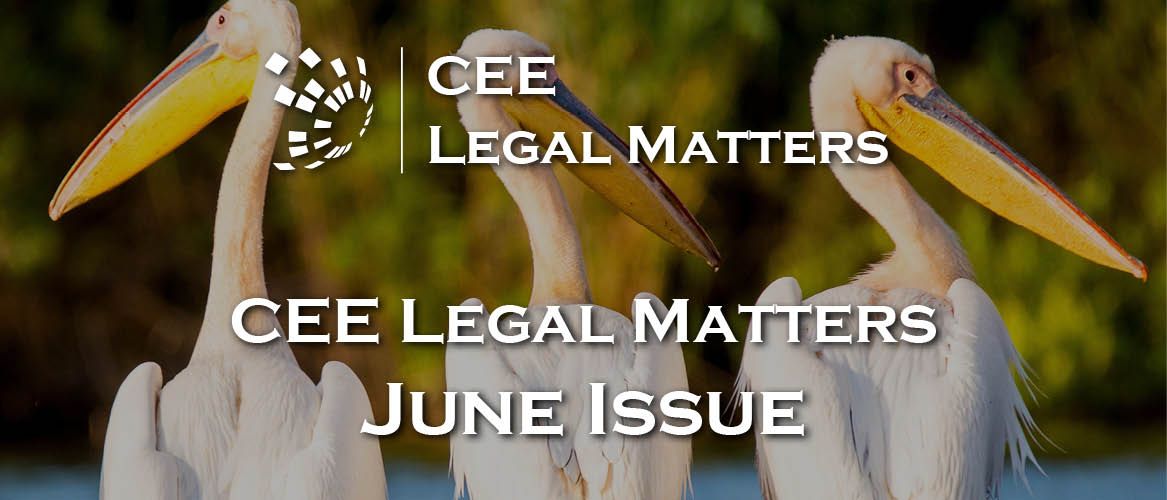 The 2019 June Issue of the CEELM Magazine is Out!