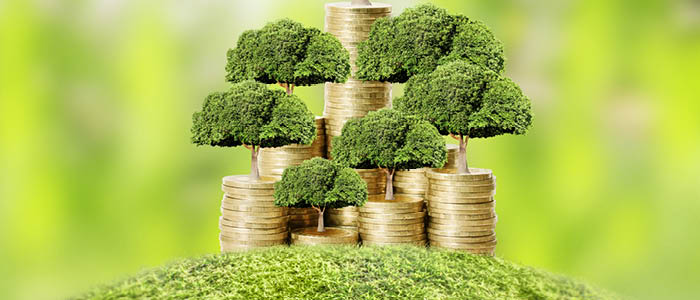 Paksoy Advises EBRD on USD 20 Million Green Loan to Uludag Icecek