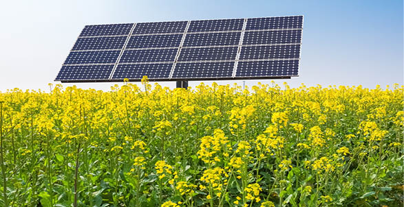 Soltysinski Kawecki & Szlezak Advises IB Vogt on Investment in Portfolio of Polish PV Companies