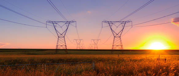 Cerha Hempel Successful for Austrian Power Grid in EU General Court