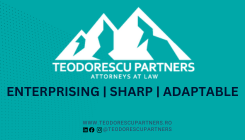 Teodorescu Partners